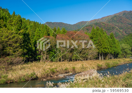 秋の高時川  滋賀県湖北地方の清流 59569530