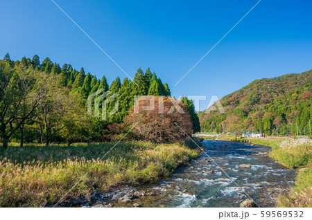秋の高時川　滋賀県湖北地方の清流 59569532