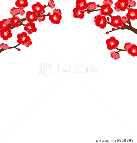 梅の花 背景イラストのイラスト素材