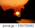 日の出 ライオン岩 カモメ 59570092