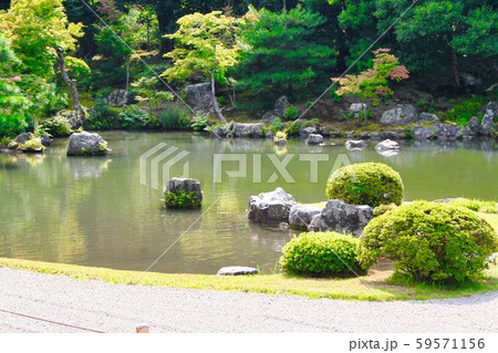 庭園 庭園 59571156