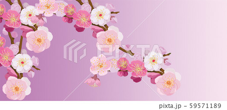年賀素材_梅 年賀素材_梅 59571189
