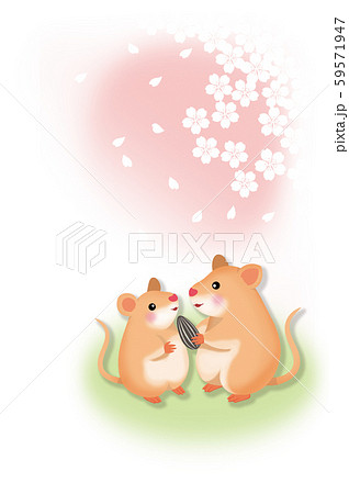 2020子年年賀_親子ネズミ_賀詞挨拶文なし 2020子年年賀_親子ネズミ_賀詞挨拶文なし 59571947