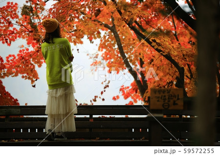 南怡島 ガーデン 庭園 59572255