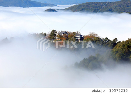 天空の城6708 59572256