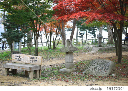 南怡島 ガーデン 庭園 59572304