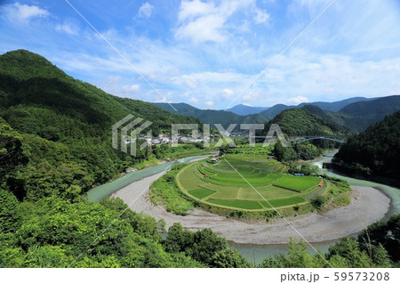 あらぎ島の棚田 59573208