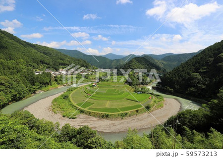 あらぎ島の棚田 59573213