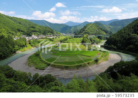 あらぎ島の棚田 59573235