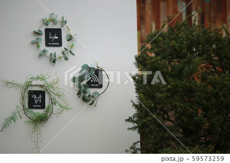 南怡島 ガーデン 庭園 59573259