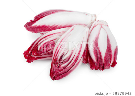 red chicory or radicchio isolated on white background 59579942