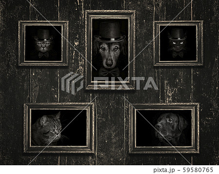 Old frames on the wall with the image of cats and Old frames on the wall with the image of cats and 59580765