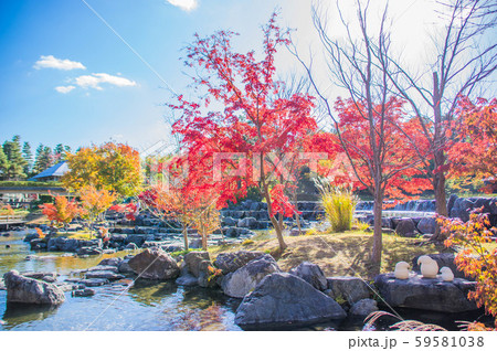 日差したっぷりの紅葉 けいはんな記念公園にて 日差したっぷりの紅葉 けいはんな記念公園にて 59581038