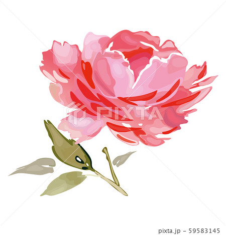 Abstract rose in watercolor style for postcards 59583145