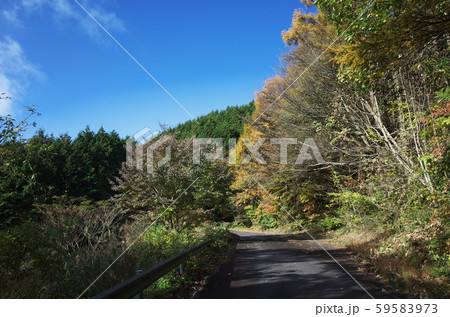 日本の秋の美しい紅葉 59583973