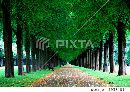 George Gardens in Hannover, Germany 59584014