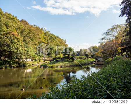 じゅん菜池緑地 じゅん菜池緑地 59584296