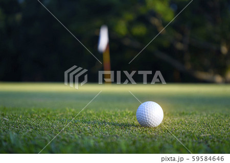 Golf ball on green in beautiful golf course at Golf ball on green in beautiful golf course at 59584646