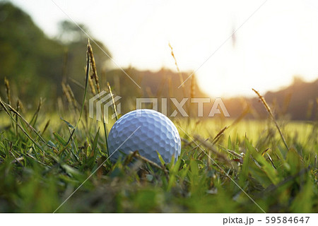 Golf ball on green in beautiful golf course at Golf ball on green in beautiful golf course at 59584647