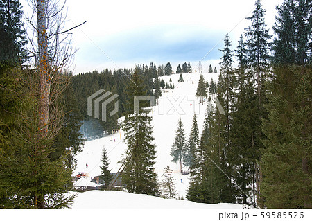 Beautiful winter landscape and ski tracks of 59585526