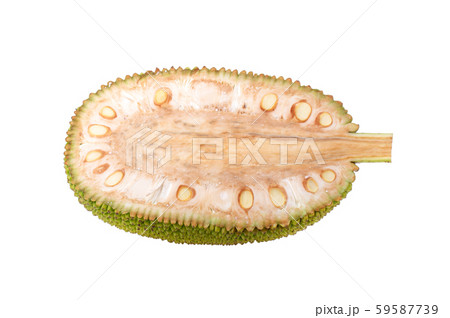 slice young jack fruits on white background 59587739
