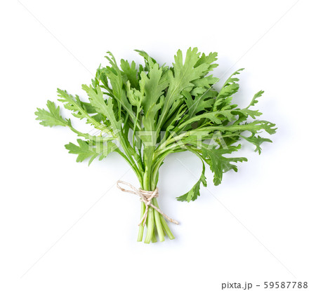 Chrysanthemum coronarium Isolated on white Chrysanthemum coronarium Isolated on white 59587788