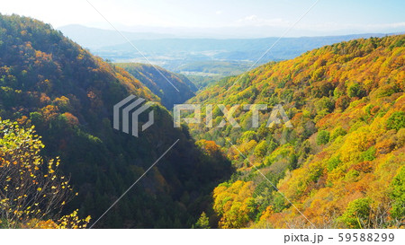 長野県　横谷峡　秋景色　11月 59588299