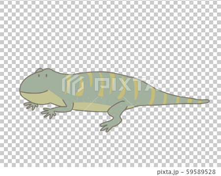  Higashi Water Dragon 59589528