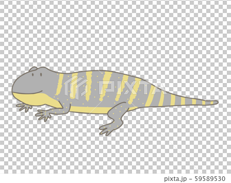 Orner Tanile monitor Orner Tanile monitor 59589530