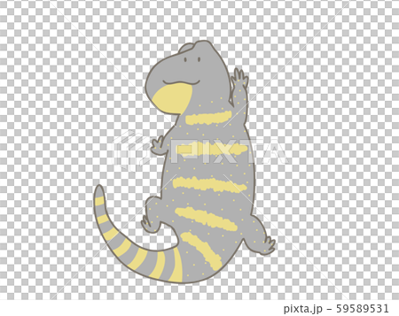  Orner Tanile monitor 59589531