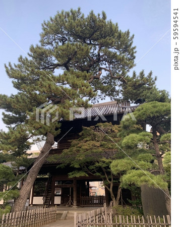 泉岳寺にお散歩 泉岳寺にお散歩 59594541