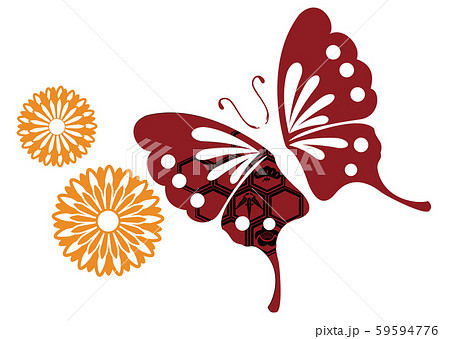 蝶と菊に和文様をあしらった和柄カット 59594776