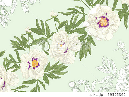 Peony flowers.. Peony flowers.. 59595362