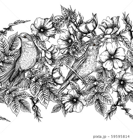 Dog-rose, briar, brier, eglantine, canker-rose. Dog-rose, briar, brier, eglantine, canker-rose. 59595814