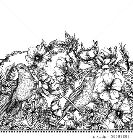 Dog-rose, briar, brier, eglantine, canker-rose. Dog-rose, briar, brier, eglantine, canker-rose. 59595892