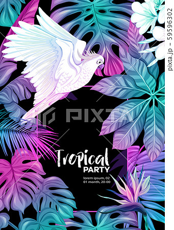 Background, party invitation, cover with text box  59596302