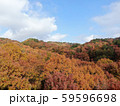 秋の紅葉 59596698