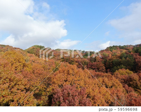 秋の紅葉 秋の紅葉 59596698