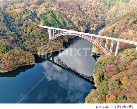 秋の紅葉 秋の紅葉 59596699