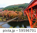 秋の紅葉 59596701