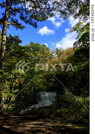 鐘山の滝（秋） 59596949