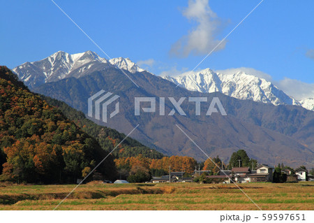 冠雪した北アルプス後立山連峰 59597651