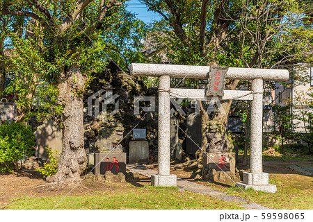 浦安三社稲荷神社富士塚 59598065