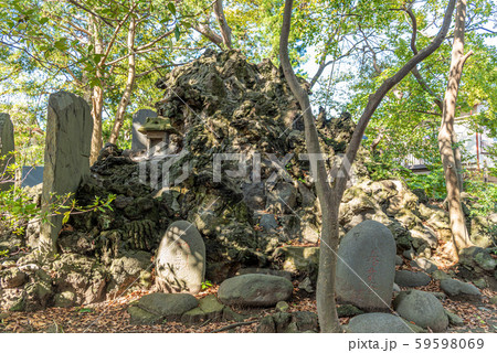 浦安三社稲荷神社富士塚 59598069