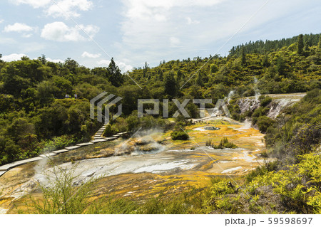 ニュージーランド　オラケイ･コラコ･ジオサーマル･パーク&ケーブの風景 59598697