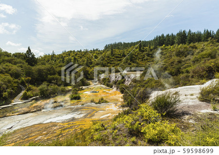 ニュージーランド オラケイ・コラコ・ジオサーマル・パーク&ケーブの風景 ニュージーランド オラケイ・コラコ・ジオサーマル・パーク&ケーブの風景 59598699
