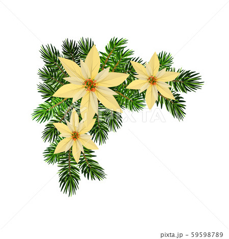 Christmas fir garland on white Vector Christmas fir garland on white Vector 59598789