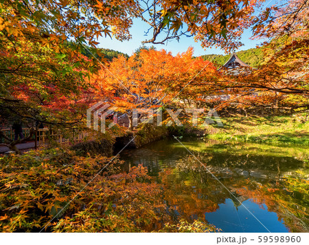 丹波紅葉三山 円通寺 丹波紅葉三山 円通寺 59598960