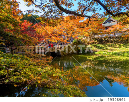 丹波紅葉三山 円通寺 丹波紅葉三山 円通寺 59598961