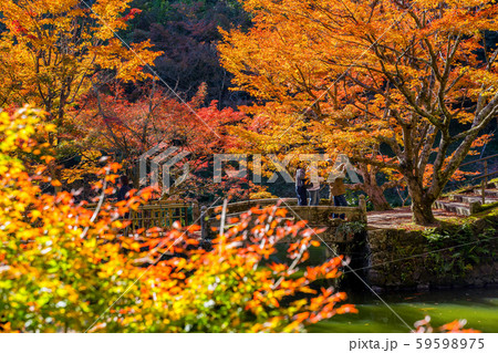 丹波紅葉三山 円通寺 丹波紅葉三山 円通寺 59598975